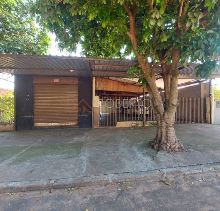 0882686001713467846