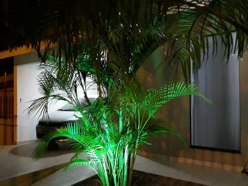 img-20240209-091246jpg-65c626ea7e5b4